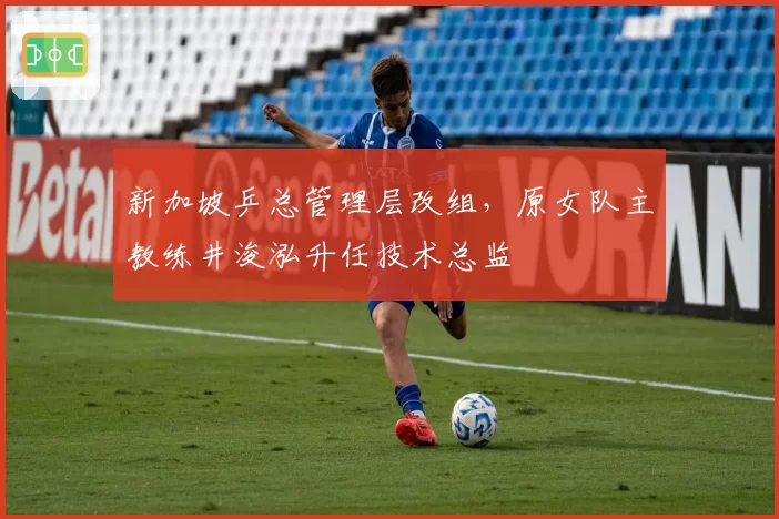 新加坡乒总管理层改组，原女队主教练井浚泓升任技术总监