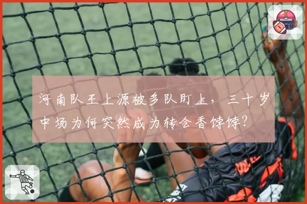河南队王上源被多队盯上，三十岁中场为何突然成为转会香饽饽？